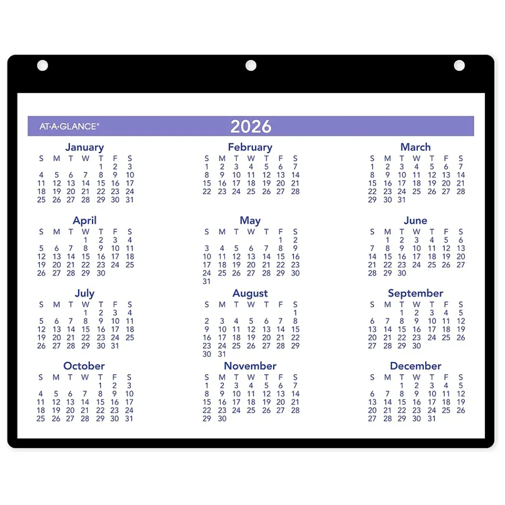 2025 Calendars|AT-A-GLANCE 2025 11" x 8" Monthly Wet-Erase Desk or Wall Calendar with Jacket, Multicolor (SK8-00-25)