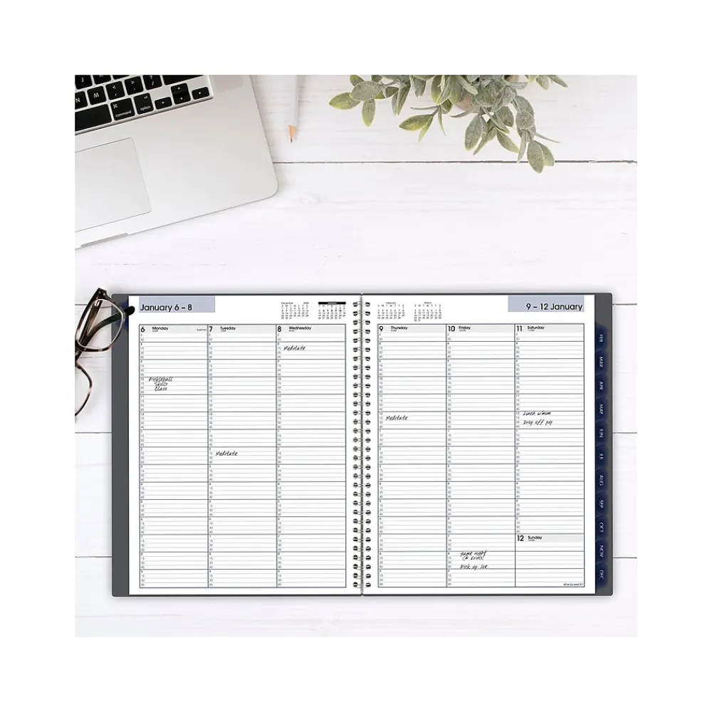 2025 Planners|AT-A-GLANCE 2025 DayMinder 8.5" x 11" Weekly & Monthly Appointment Book, Plastic Cover, Gray (GC520-07-25)