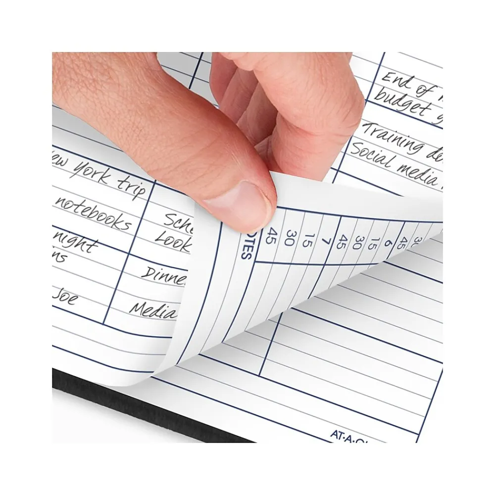 2025 Planners|AT-A-GLANCE 2025 DayMinder 8" x 11" 4-Person Daily Appointment Book, Faux Leather Cover, Black (G560-00-25)