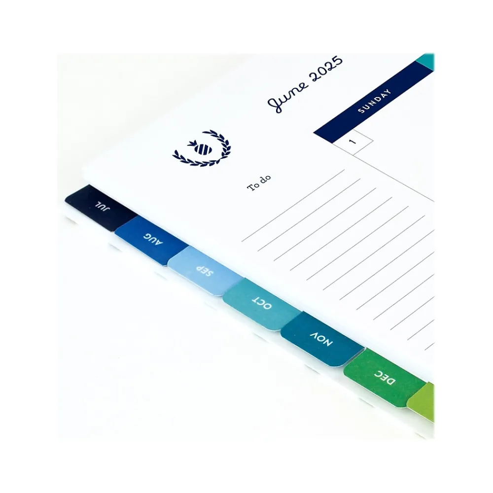Academic Planners|AT-A-GLANCE 2024-2025 Simplified by Emily Ley Happy Stripe 8.5" x 11" Academic Weekly & Monthly Planner, Poly Cover
