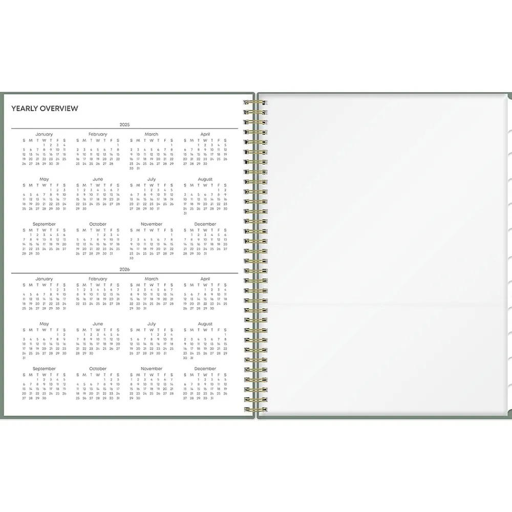 2025 Planners|Blue Sky 2025 8.5" x 11" Weekly & Monthly Planner, Plastic Cover, Linden Green (148236)