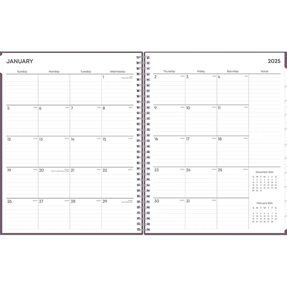 2025 Planners|Blue Sky 2025 8.5" x 11" Weekly & Monthly Planner, Plastic Cover, Purple (150539)