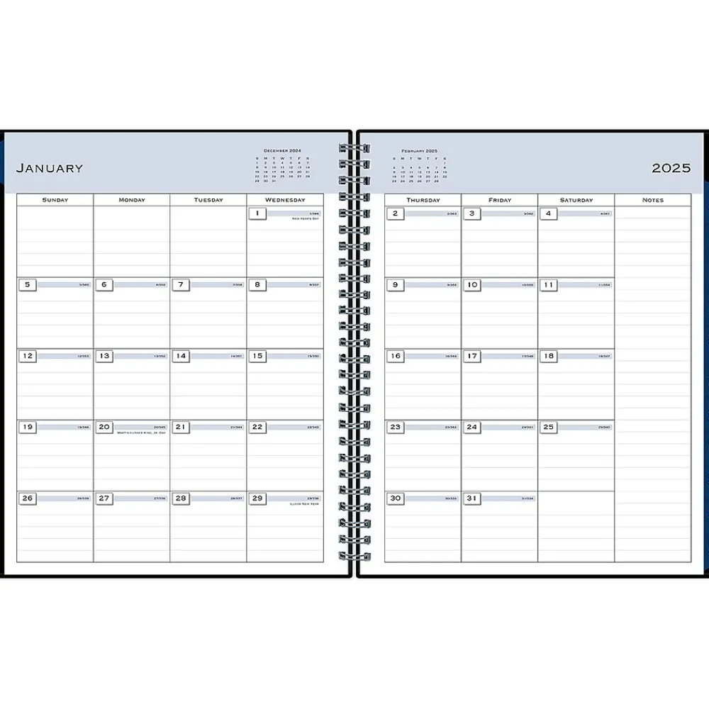 2025 Planners|Blue Sky 2025 7" x 9" Weekly & Monthly Appointment Book, Plastic Cover, Black (150846)