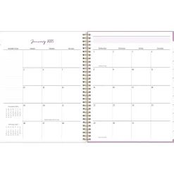2025 Planners|Blue Sky 2025 Britt Mills Citrus Sunrise 8.5