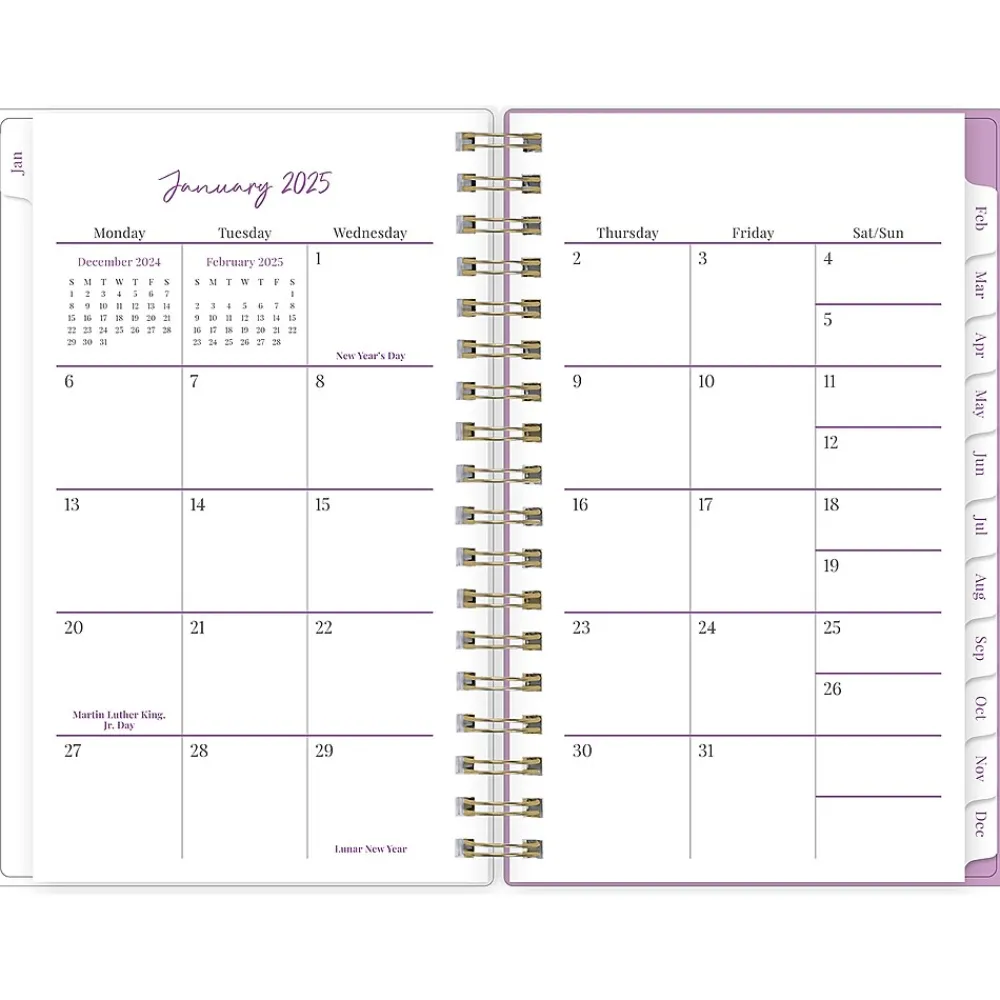 2025 Planners|Blue Sky 2025 Citrus Sunrise 3.63" x 6.13" Weekly & Monthly Planner, Plastic Cover, Multicolor (148028)