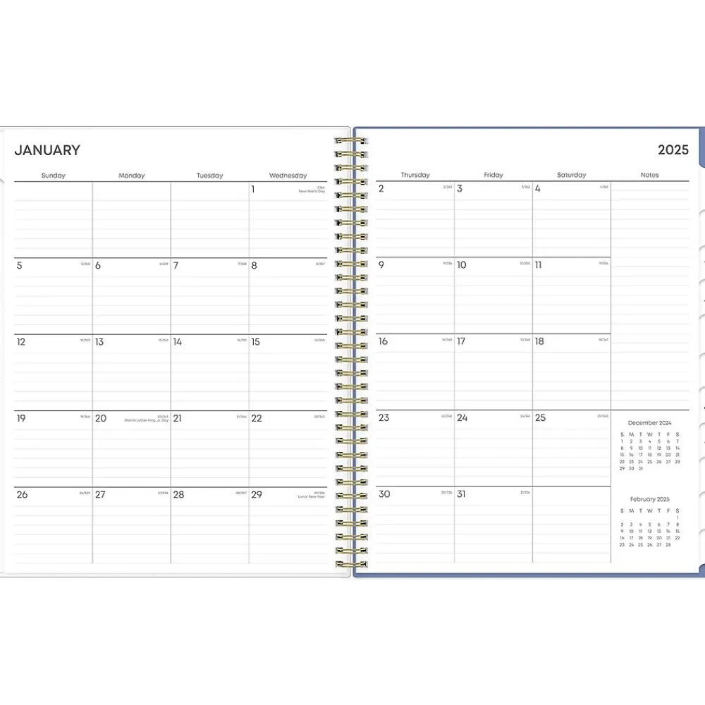 2025 Planners|Blue Sky 2025 Cocorrina 8.5" x 11" Weekly & Monthly Planner, Plastic Cover, Multicolor (143696-25)