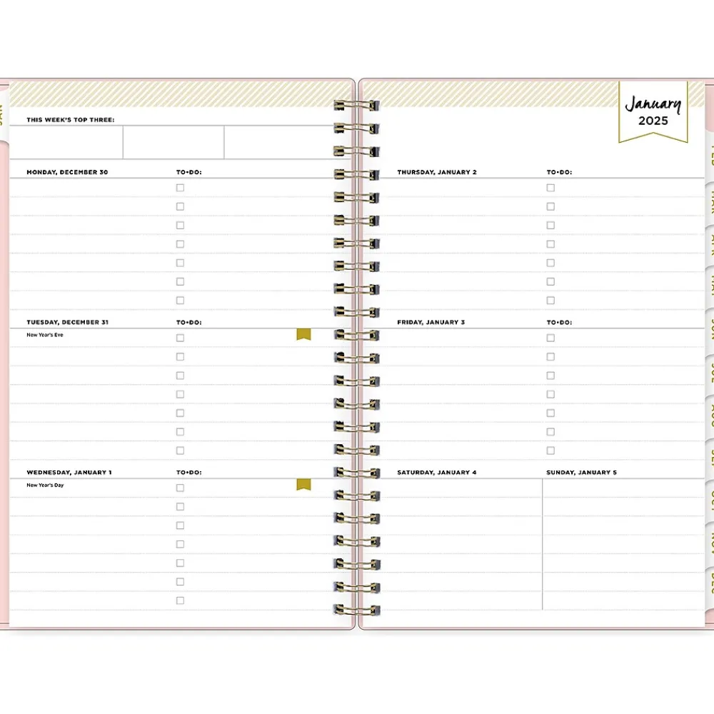 2025 Planners|Blue Sky 2025 Day Designer 5" x 8" Weekly & Monthly Planner, Plastic Cover, Blush (148147)