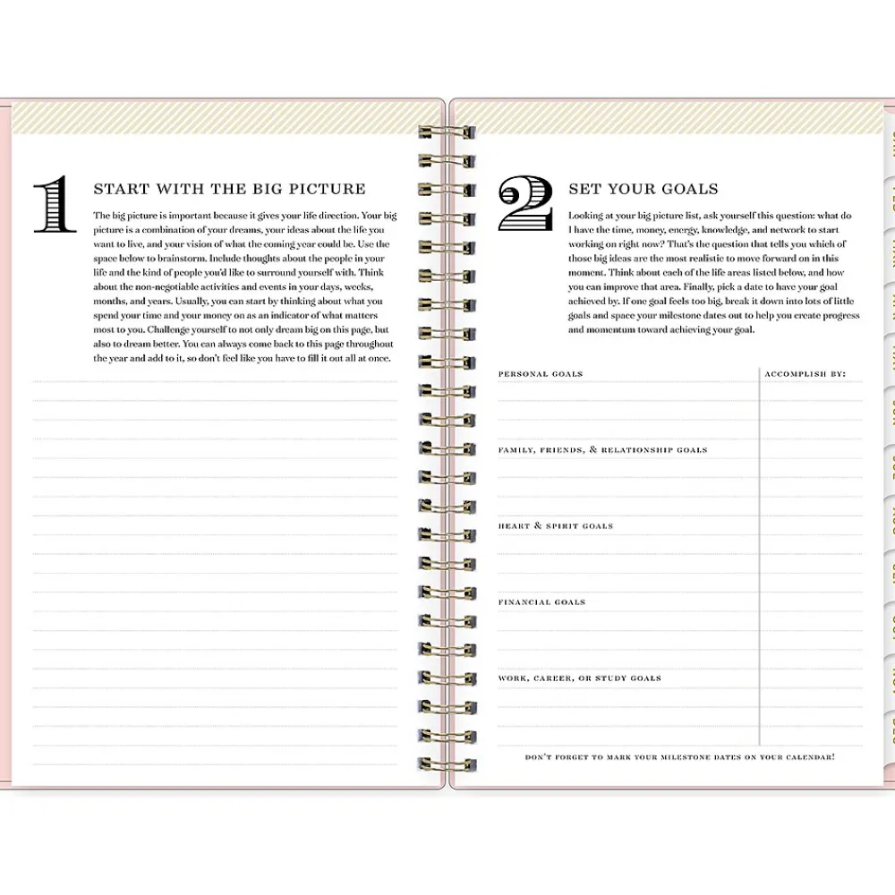 2025 Planners|Blue Sky 2025 Day Designer 5" x 8" Weekly & Monthly Planner, Plastic Cover, Blush (148147)