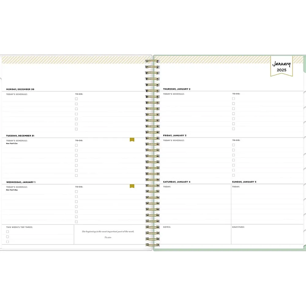 2025 Planners|Blue Sky 2025 Day Designer Arcadia 8.5" x 11" Weekly Planner, Plastic Cover, Multicolor (148142)