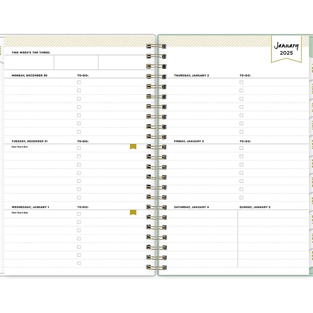 2025 Planners|Blue Sky 2025 Day Designer Arcadia 5" x 8" Weekly & Monthly Planner, Plastic Cover, Multicolor (148143)