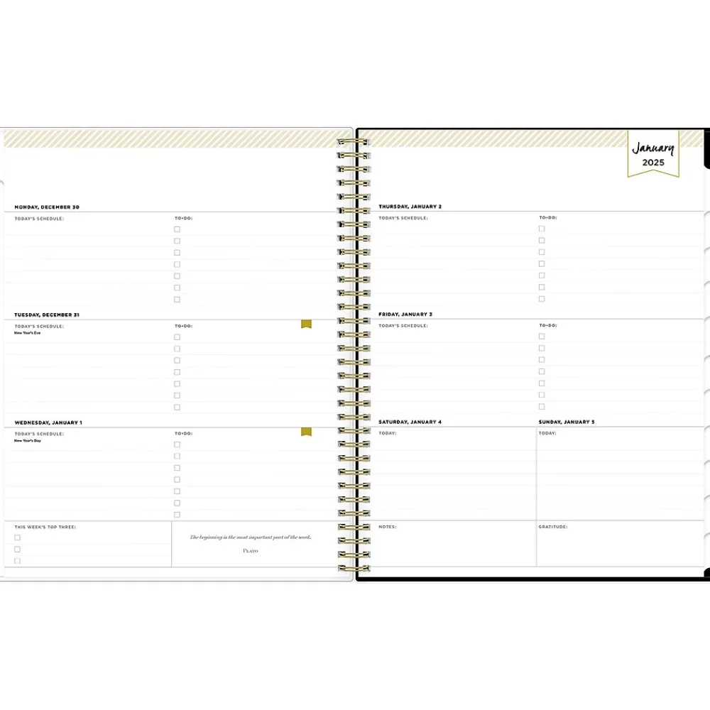 2025 Planners|Blue Sky 2025 Day Designer Austen 8.5" x 11" Weekly Planner, Plastic Cover, Multicolor (148128)