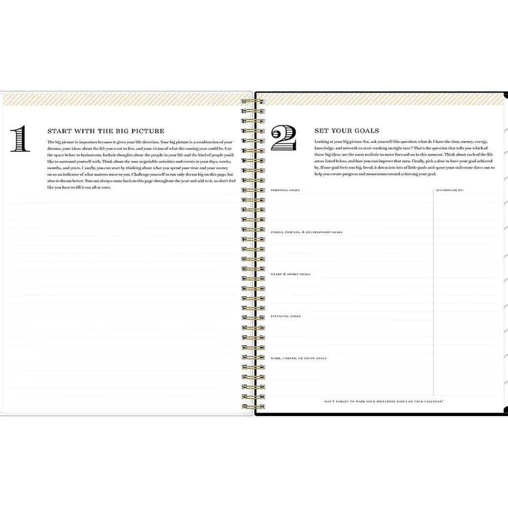 2025 Planners|Blue Sky 2025 Day Designer Austen 8.5" x 11" Weekly Planner, Plastic Cover, Multicolor (148128)