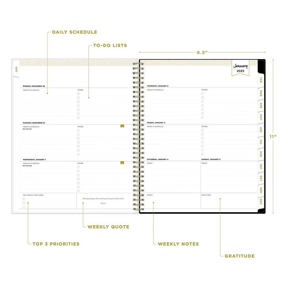2025 Planners|Blue Sky 2025 Day Designer Austen 8.5" x 11" Weekly Planner, Plastic Cover, Multicolor (148128)