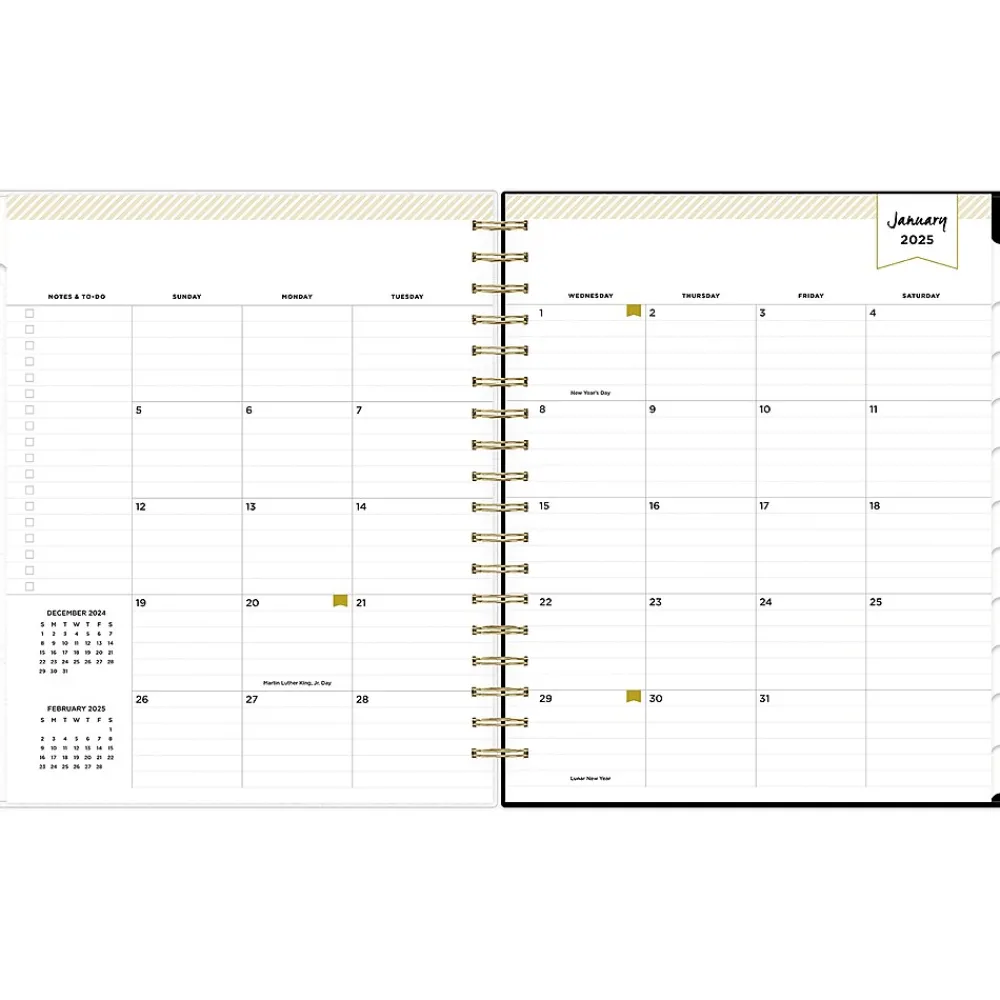 2025 Planners|Blue Sky 2025 Day Designer Austen Black 8" x 10" Daily & Monthly Planner, Plastic Cover, Multicolor (148130)
