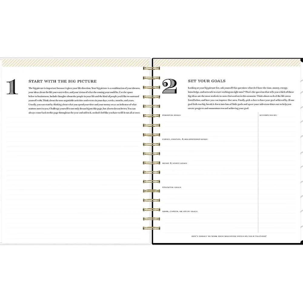 2025 Planners|Blue Sky 2025 Day Designer Austen Black 8" x 10" Daily & Monthly Planner, Plastic Cover, Multicolor (148130)