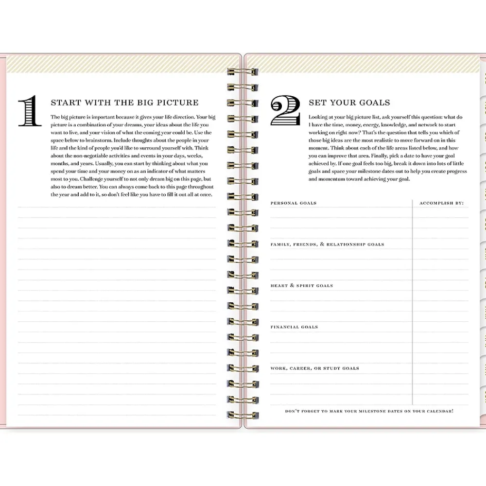 Academic Planners|Blue Sky 2024-2025 Day Designer Blush 5" x 8" Academic Weekly & Monthly Planner, Plastic Cover, Pink (150138)