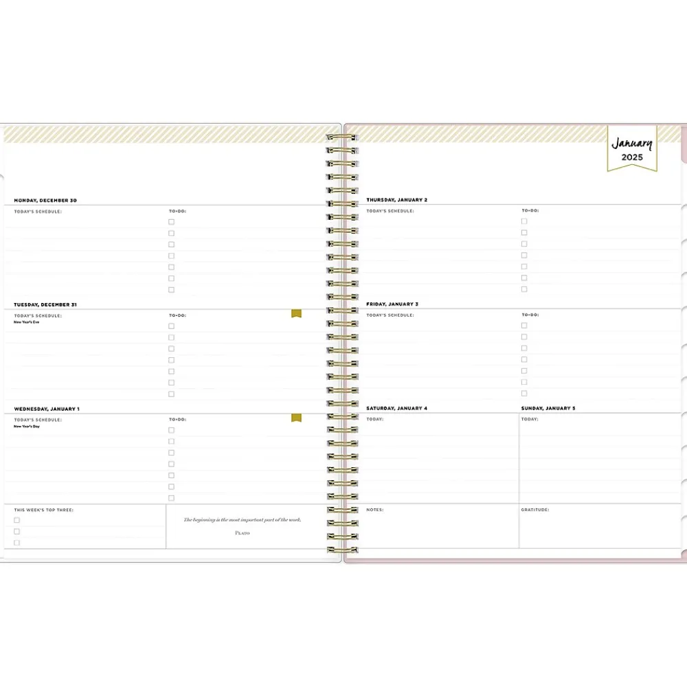 2025 Planners|Blue Sky 2025 Day Designer Breeze 8.5" x 11" Weekly Planner, Plastic Cover, Multicolor (148123)