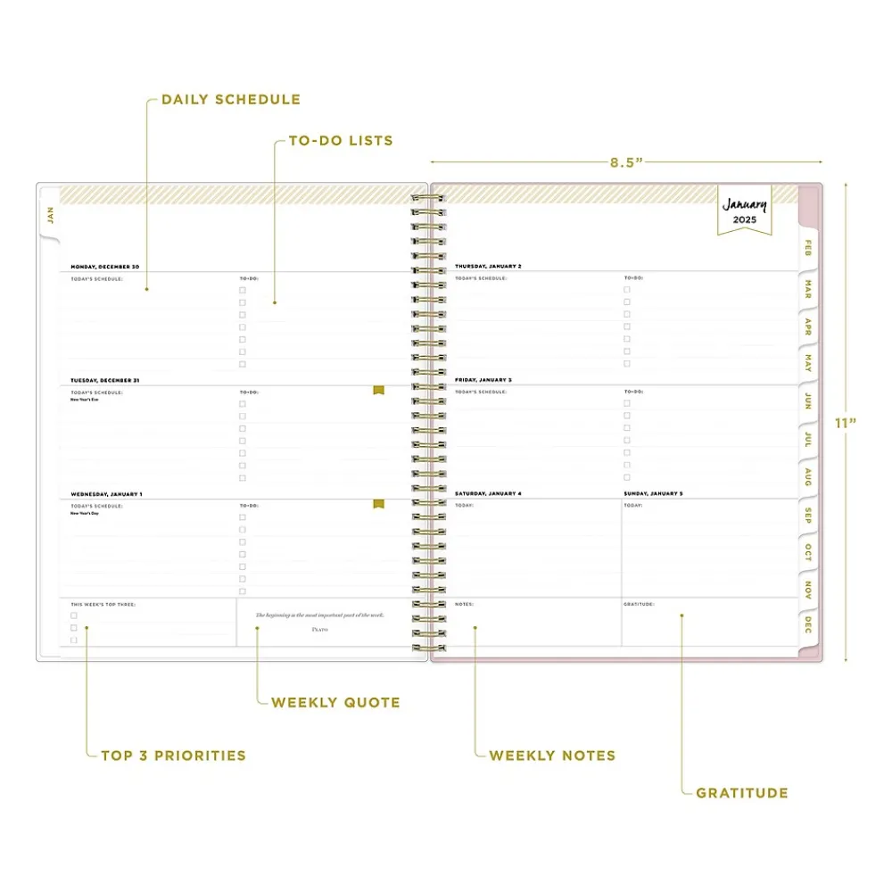 2025 Planners|Blue Sky 2025 Day Designer Breeze 8.5" x 11" Weekly Planner, Plastic Cover, Multicolor (148123)