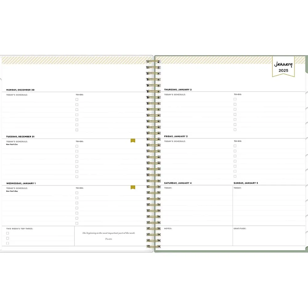2025 Planners|Blue Sky 2025 Day Designer Felicity 8.5" x 11" Weekly Planner, Plastic Cover, Multicolor (148138)