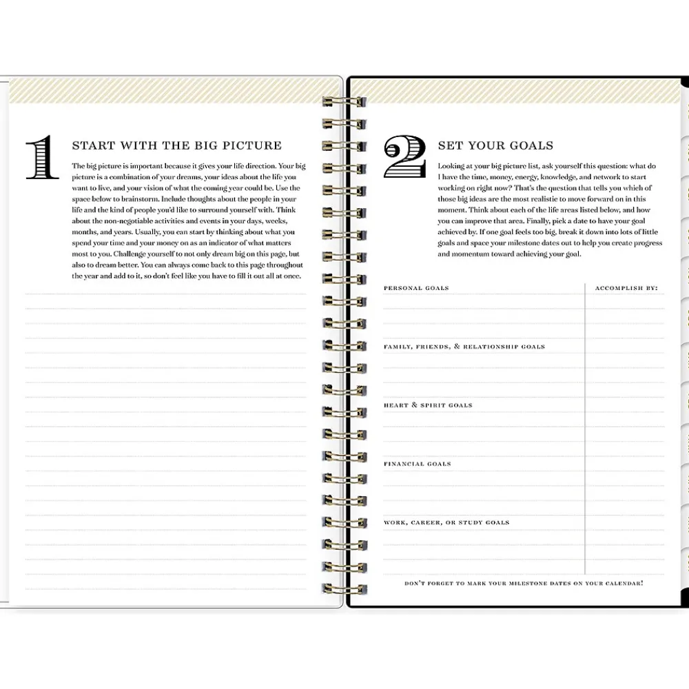 Academic Planners|Blue Sky 2024-2025 Day Designer Painted Leopard Gray 5" x 8" Academic Weekly & Monthly Planner, Plastic Cover, Black/Gray