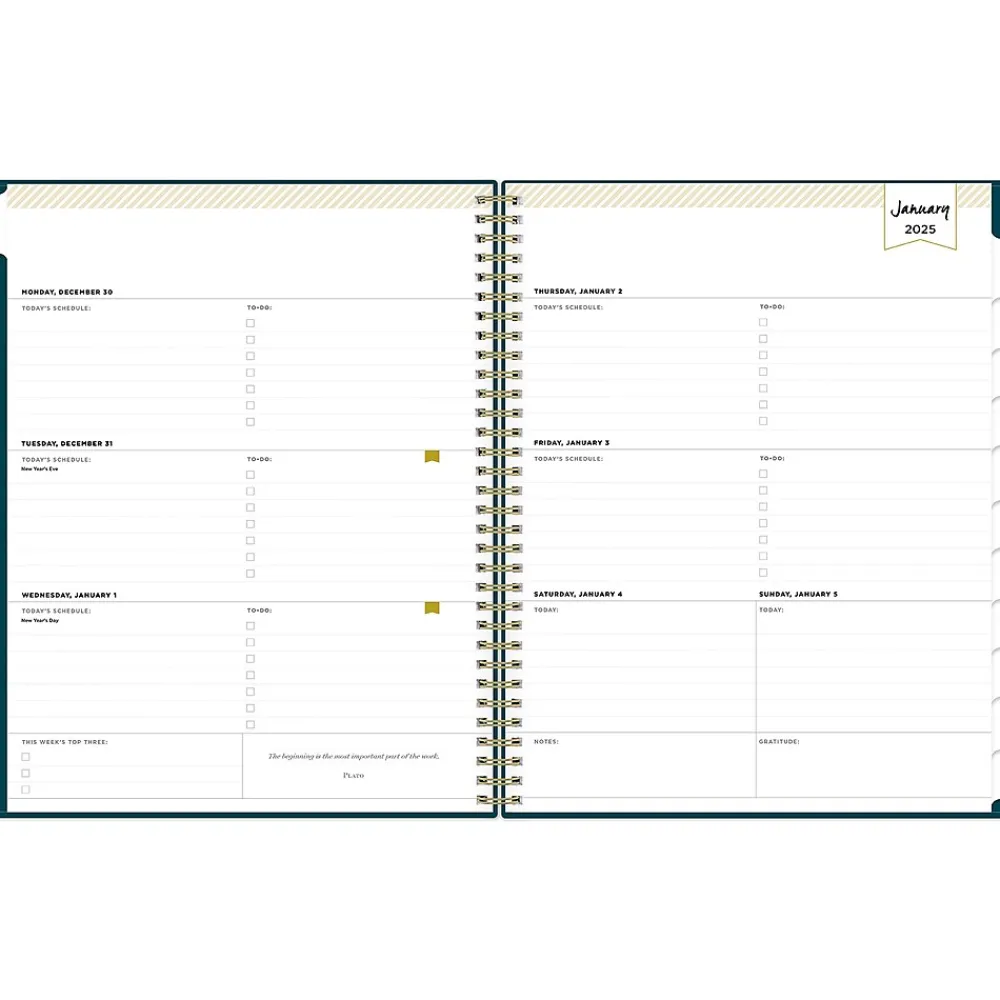 2025 Planners|Blue Sky 2025 Day Designer Peacock 8.5" x 11" Weekly & Monthly Planner, Plastic Cover, Blue (143889-25)