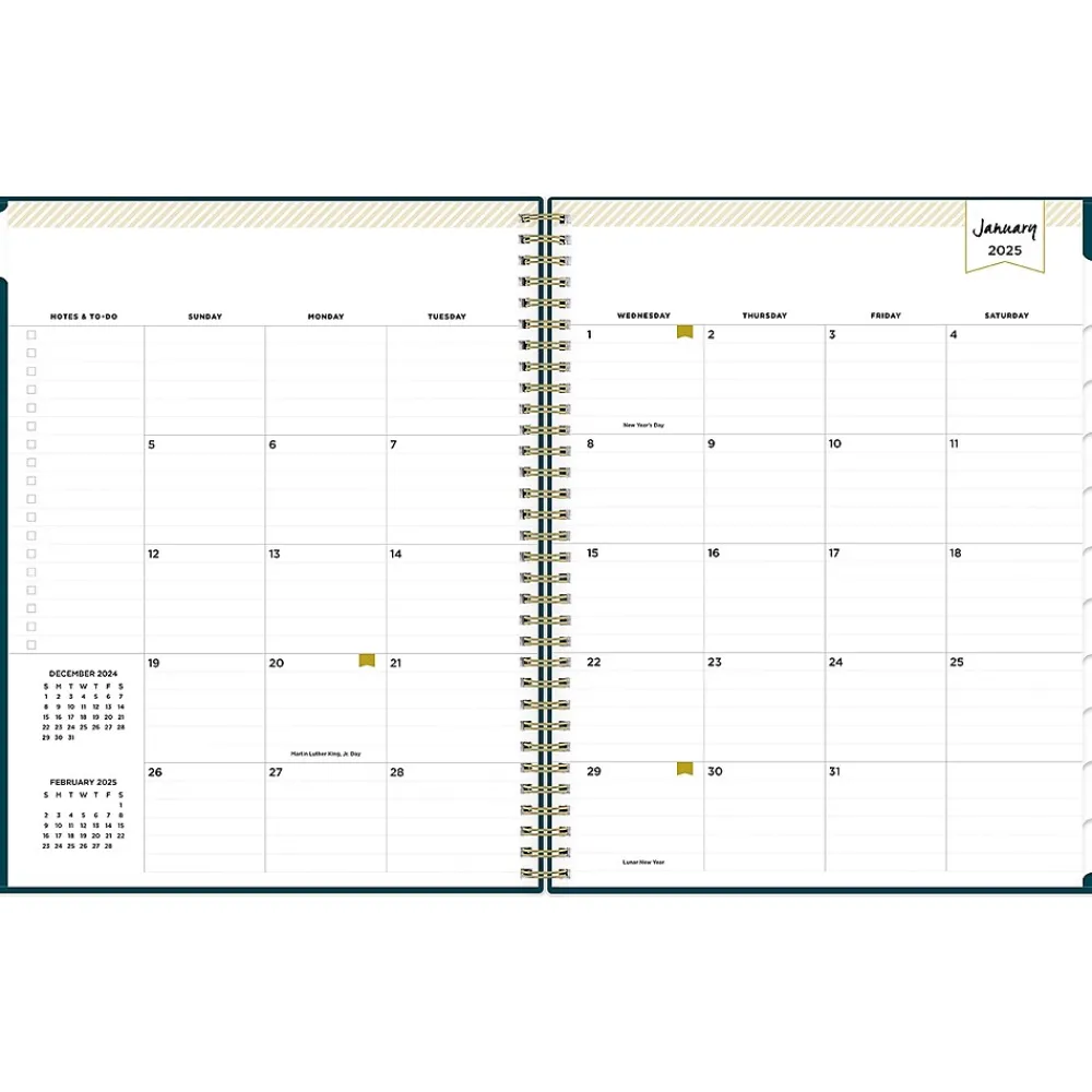 2025 Planners|Blue Sky 2025 Day Designer Peacock 8.5" x 11" Weekly & Monthly Planner, Plastic Cover, Blue (143889-25)