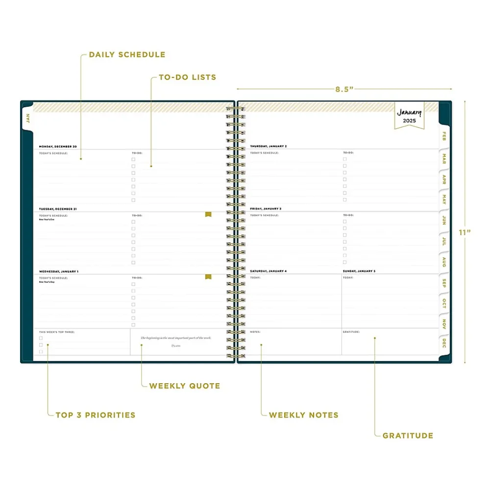 2025 Planners|Blue Sky 2025 Day Designer Peacock 8.5" x 11" Weekly & Monthly Planner, Plastic Cover, Blue (143889-25)