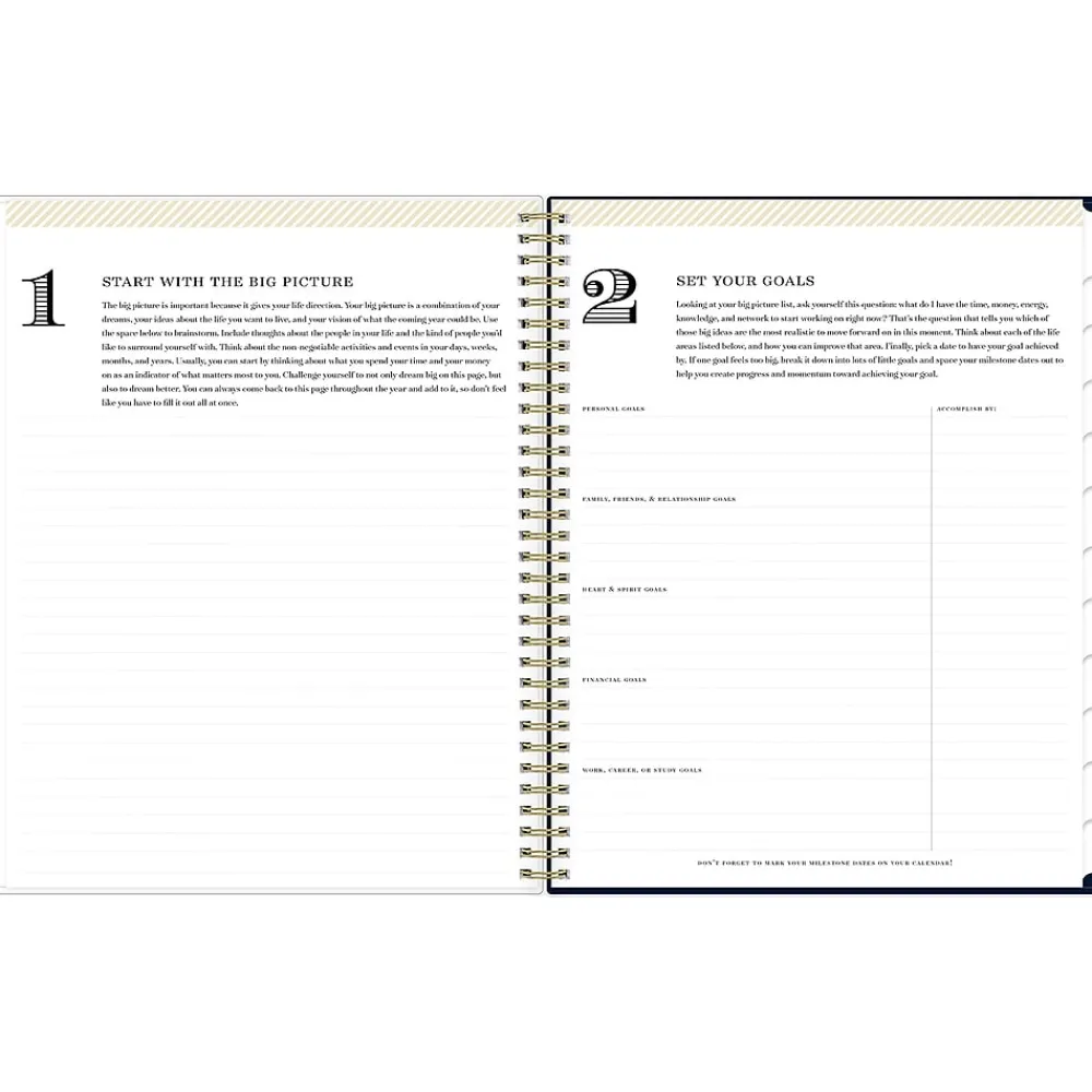 2025 Planners|Blue Sky 2025 Day Designer Peyton Navy 8.5" x 11" Weekly & Monthly Planner, Plastic Cover, Multicolor (103617-25)