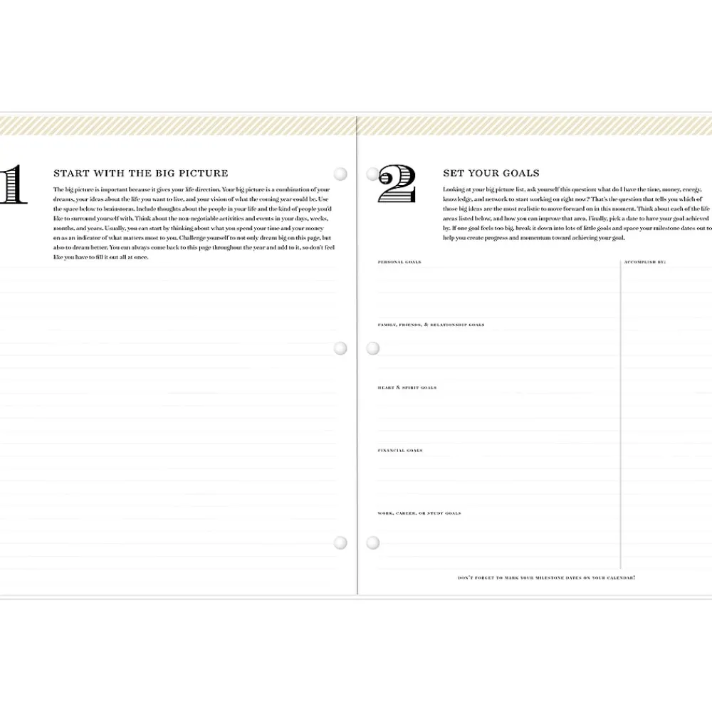 Academic Planners|Blue Sky 2024-2025 Day Designer Spotty Small Gold 8.5" x 11" Academic Monthly Planner, Plastic Cover, White/Gold (149829)