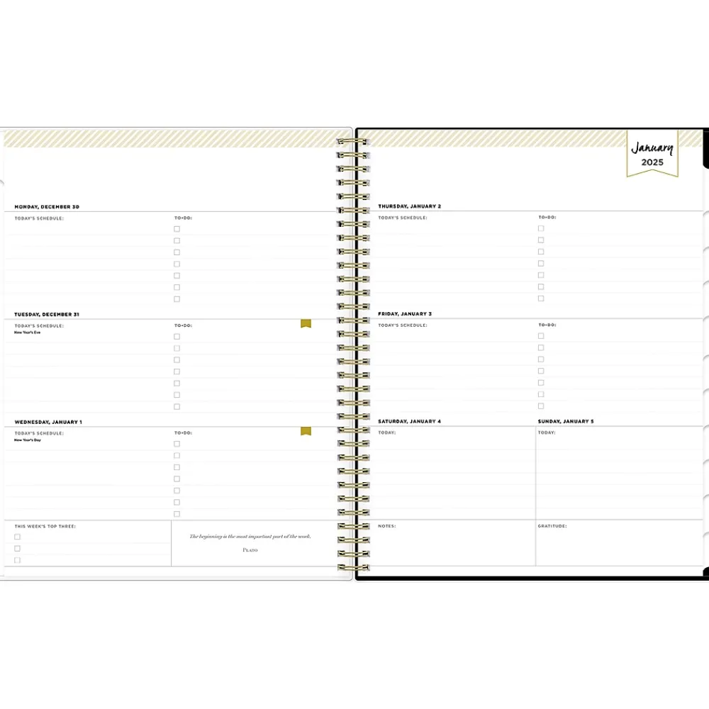 2025 Planners|Blue Sky 2025 Day Designer Swiss Dot 8.5" x 11" Weekly Planner, Plastic Cover, Black/Gold (148134)