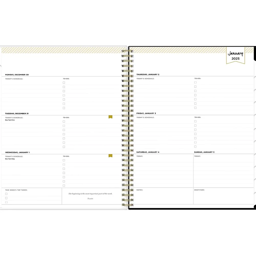 2025 Planners|Blue Sky 2025 Day Designer Swiss Dot 8.5" x 11" Weekly Planner, Plastic Cover, Black/Gold (148134)