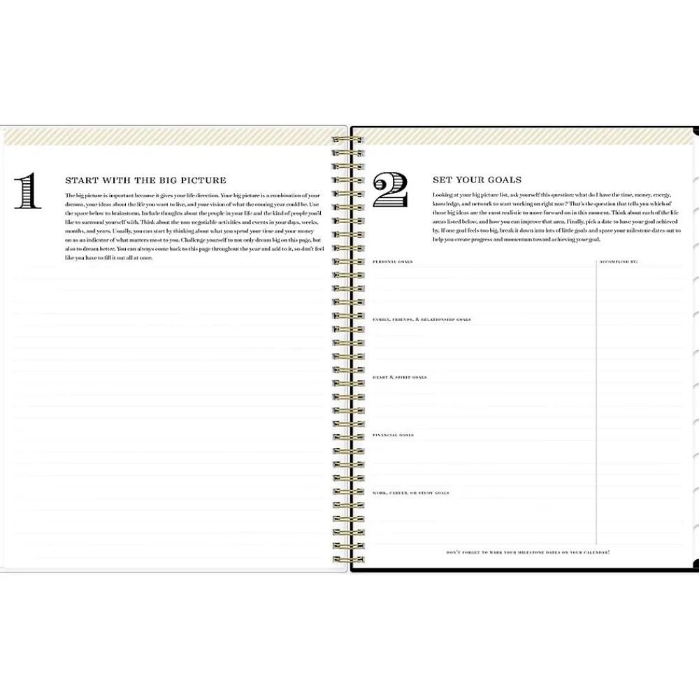 2025 Planners|Blue Sky 2025 Day Designer Swiss Dot 8.5" x 11" Weekly Planner, Plastic Cover, Black/Gold (148134)