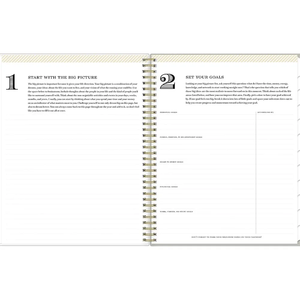 2025 Planners|Blue Sky 2025 Day Designer Tess 8.5" x 11" Weekly Planner, Plastic Cover, Tan/Off-White (148144)