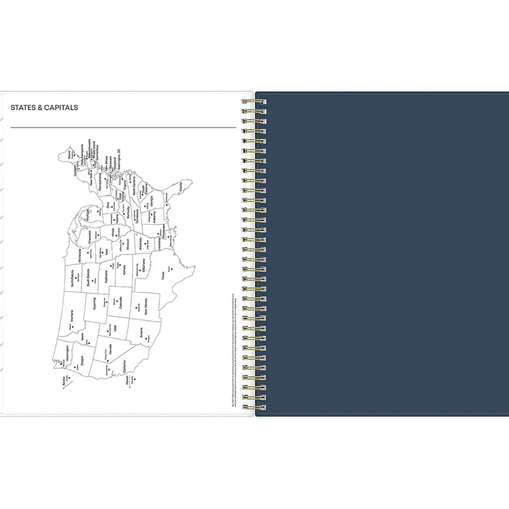 2025 Planners|Blue Sky 2025 Dellania 8.5" x 11" Weekly & Monthly Planner, Plastic Cover, Multicolor (148212)