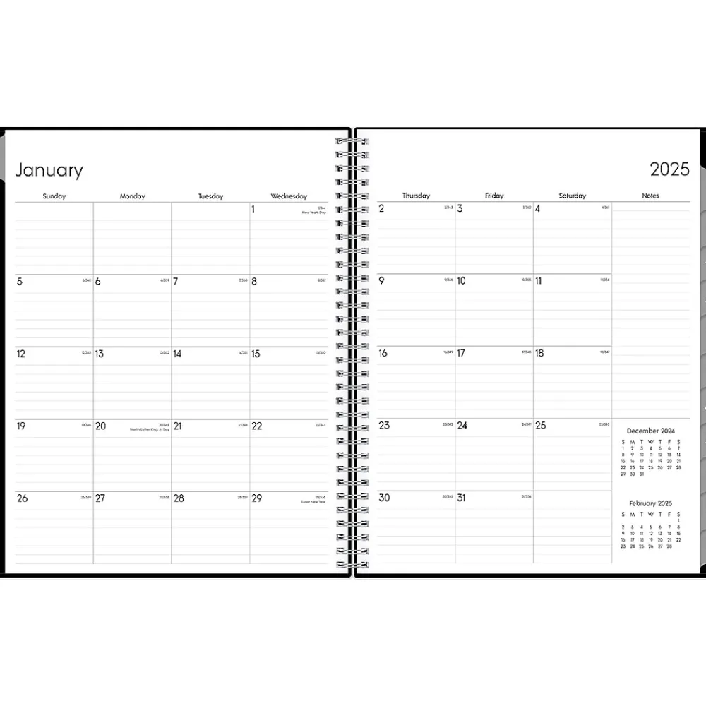 2025 Planners|Blue Sky 2025 Enterprise 8.5" x 11" Weekly & Monthly Appointment Book, Plastic Cover, Black (111289-25)