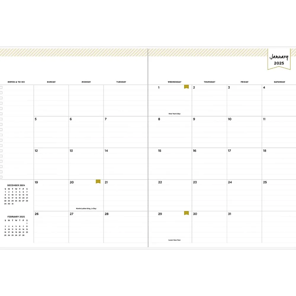 2025 Planners|Blue Sky 2025 Felicity 8.5" x 11" Monthly Planner, Plastic Cover, Multicolor (152227)