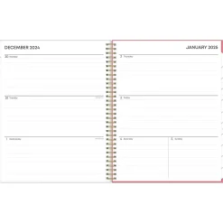 2025 Planners|Blue Sky 2025 Fly By 8.5" x 11" Weekly & Monthly Planner, Plastic Cover, Multicolor (140195-25)