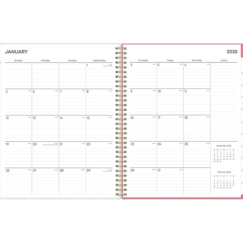 2025 Planners|Blue Sky 2025 Fly By 8.5" x 11" Weekly & Monthly Planner, Plastic Cover, Multicolor (140195-25)