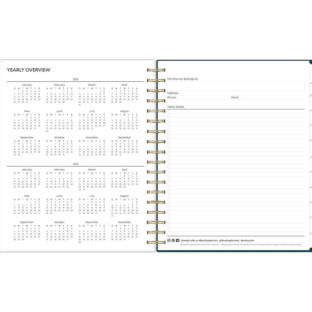Academic Planners|Blue Sky 2024-2025 Greta 8" x 10" Academic Daily & Monthly Planner, Multicolor (146839)