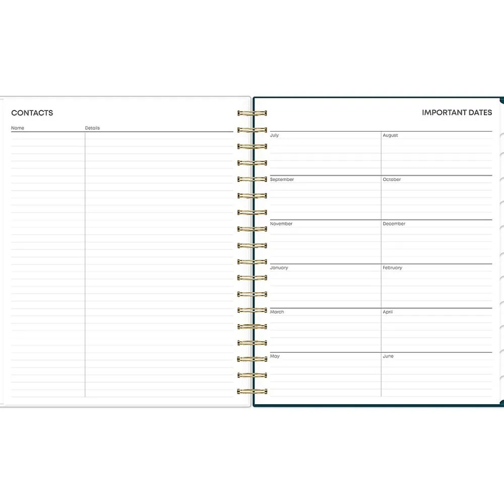 Academic Planners|Blue Sky 2024-2025 Greta 8" x 10" Academic Daily & Monthly Planner, Multicolor (146839)