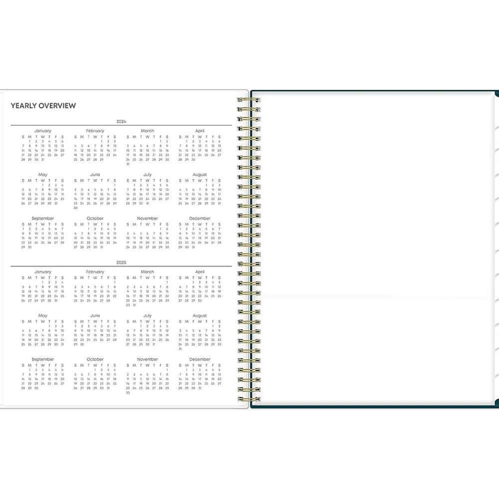 Academic Planners|Blue Sky 2024-2025 Greta 8.5" x 11" Academic Weekly & Monthly Planner, Plastic Cover, Green (136479-A25)