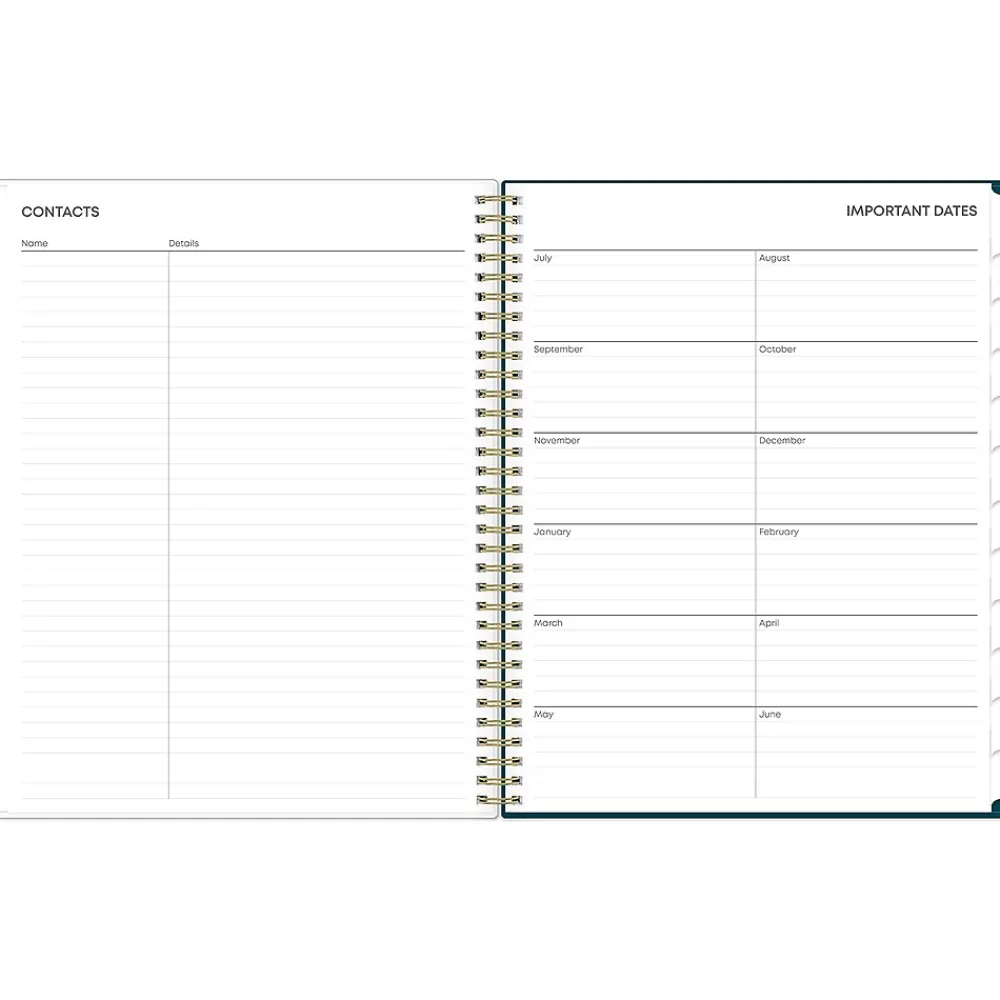Academic Planners|Blue Sky 2024-2025 Greta 8.5" x 11" Academic Weekly & Monthly Planner, Plastic Cover, Green (136479-A25)