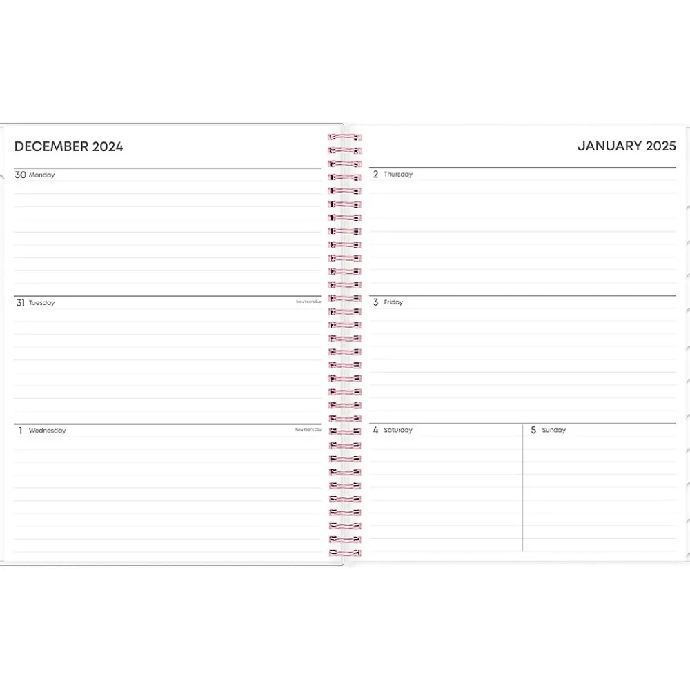 2025 Planners|Blue Sky 2025 Joselyn 8.5" x 11" Weekly & Monthly Planner, Plastic Cover, Multicolor (110394-25)