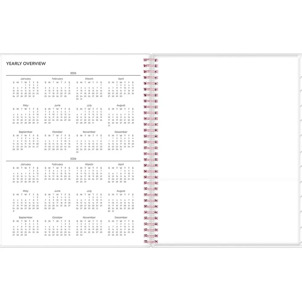 2025 Planners|Blue Sky 2025 Joselyn 8.5" x 11" Weekly & Monthly Planner, Plastic Cover, Multicolor (110394-25)