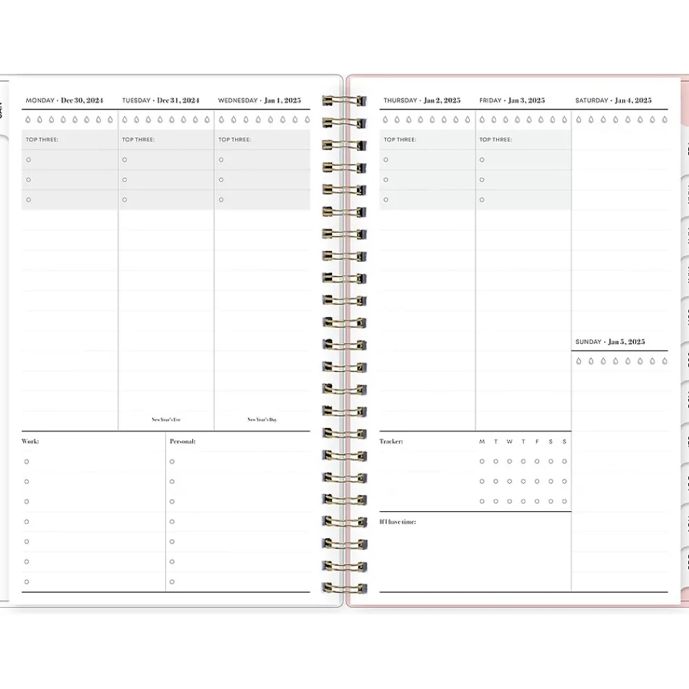 2025 Planners|Blue Sky 2025 Julissa 8.5" x 11" Weekly & Monthly Planner, Plastic Cover, Multicolor (147915)