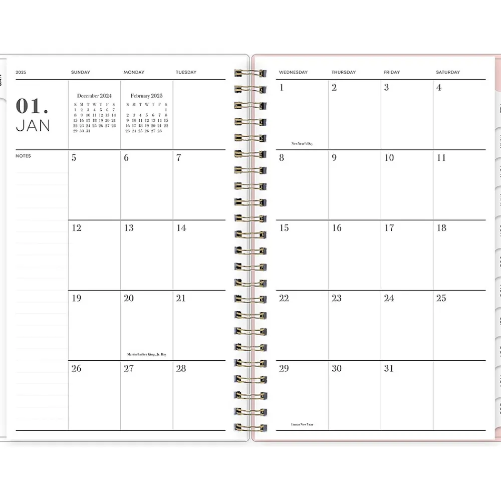 2025 Planners|Blue Sky 2025 Julissa 8.5" x 11" Weekly & Monthly Planner, Plastic Cover, Multicolor (147915)