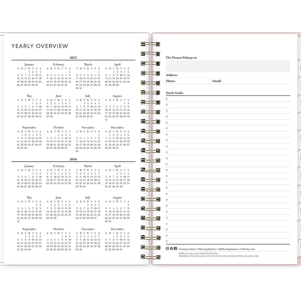 2025 Planners|Blue Sky 2025 Julissa 8.5" x 11" Weekly & Monthly Planner, Plastic Cover, Multicolor (147915)