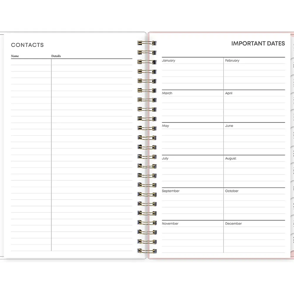 2025 Planners|Blue Sky 2025 Julissa 8.5" x 11" Weekly & Monthly Planner, Plastic Cover, Multicolor (147915)