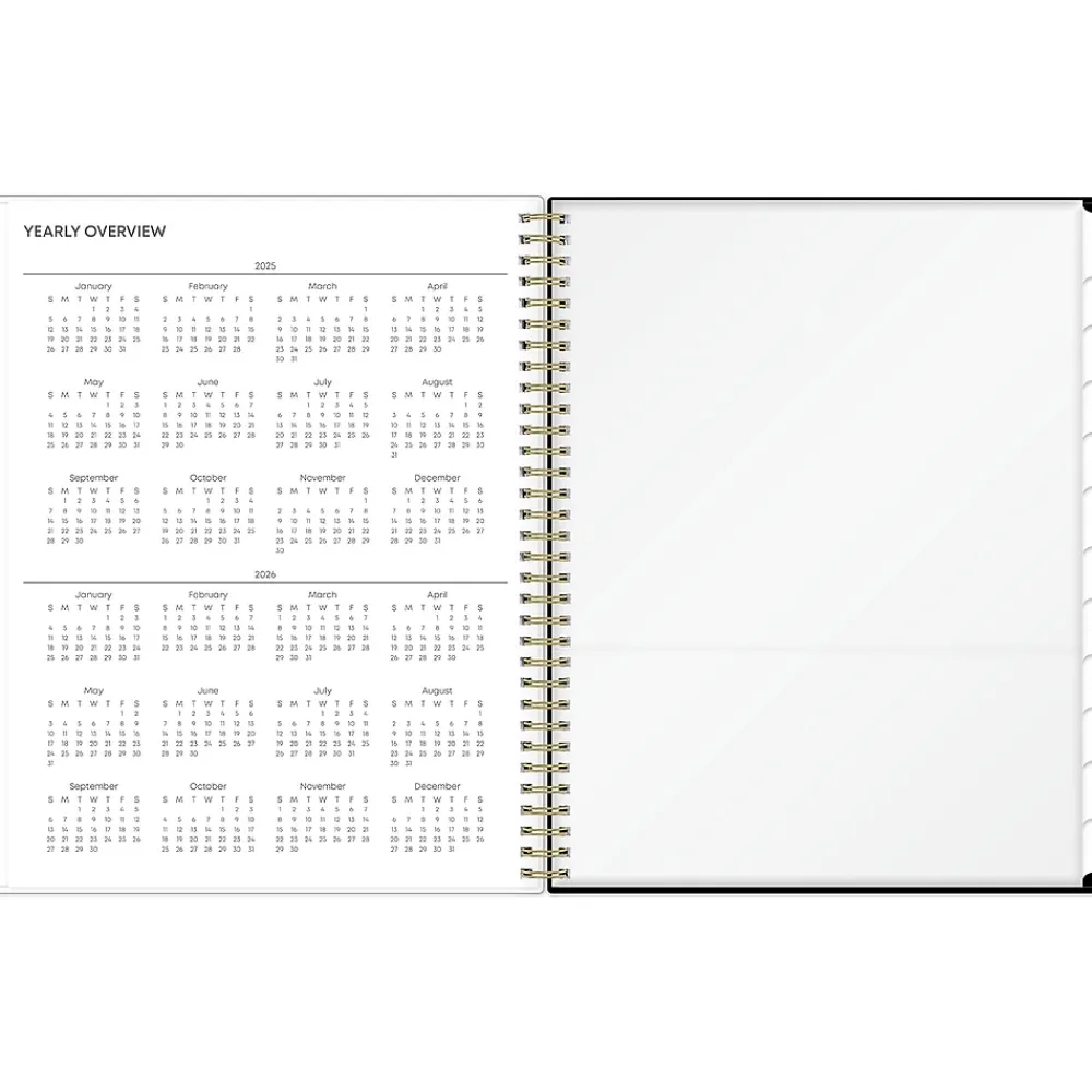 2025 Planners|Blue Sky 2025 Katya 8.5" x 11" Weekly & Monthly Planner, Plastic Cover, Brown/Black (152483)