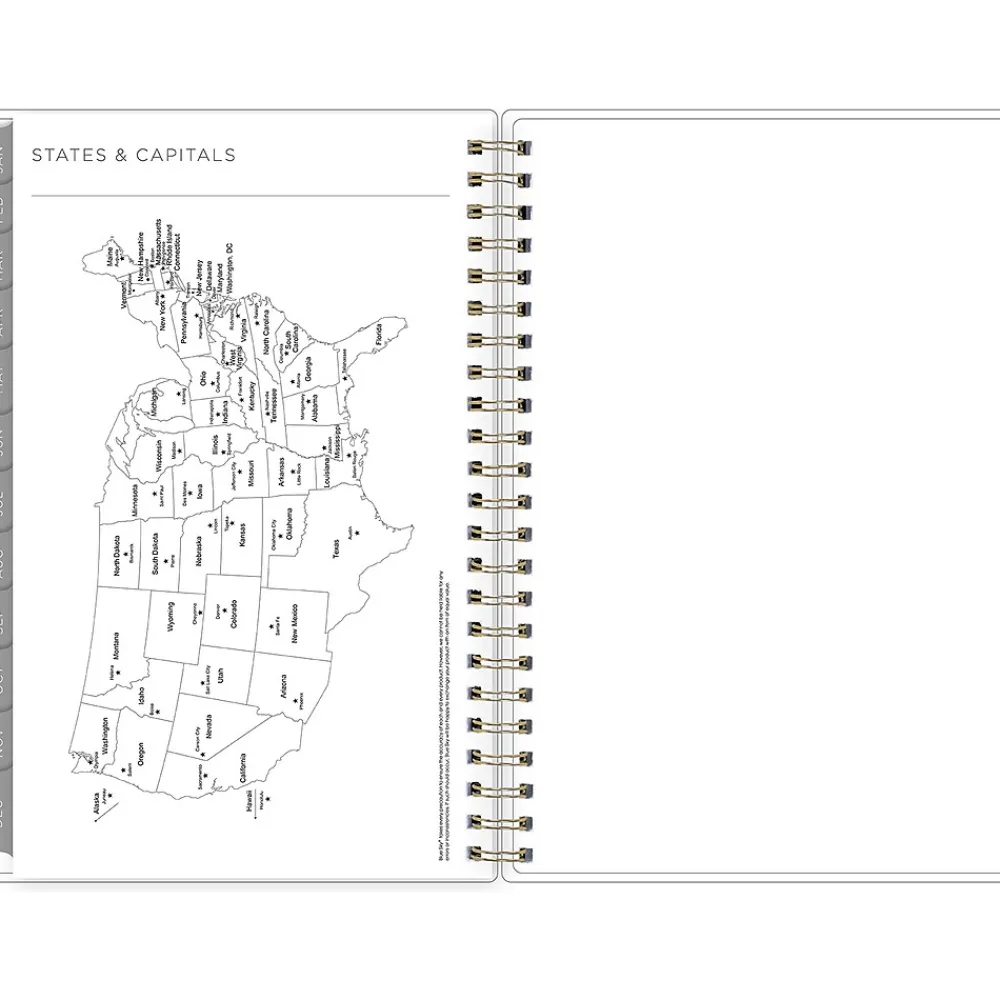 2025 Planners|Blue Sky 2025 Kelly Ventura Mimosa 5" x 8" Weekly & Monthly Planner, Plastic Cover, Yellow/White (149061-25)